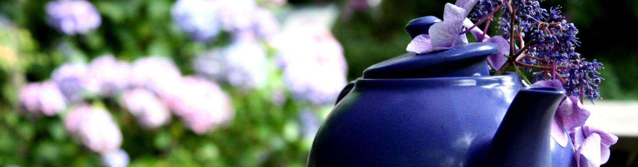 Moment­auf­nah­me